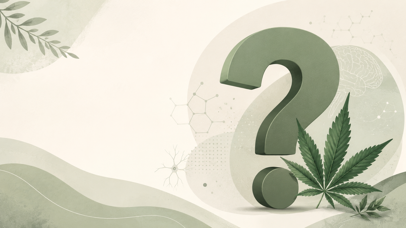 Does olivetol work — a question mark over cannabis leaves